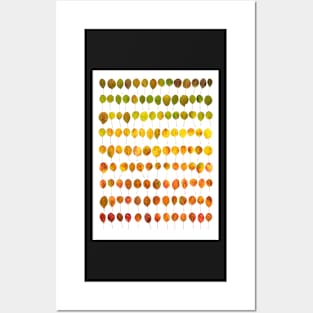 Colours of Autumn Posters and Art